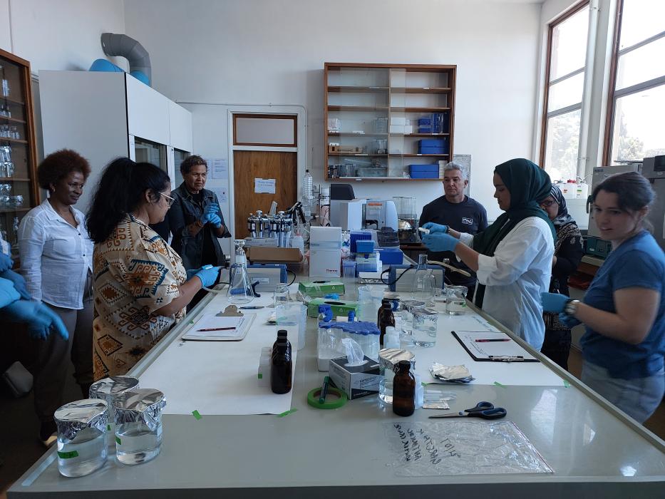Biogeochemistry lab demonstration
