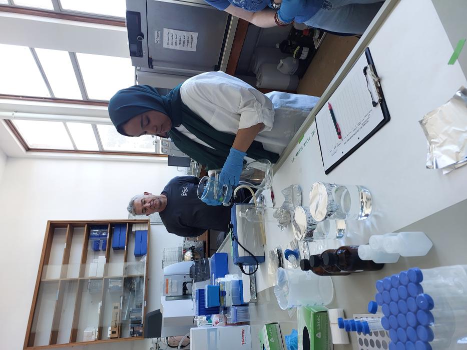 Biogeochemistry lab demonstration