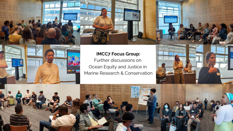 IMCC Focus Group 2024