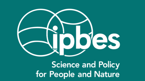 IPBES