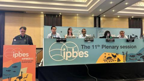 ipbes11-panel-discussion.jpeg