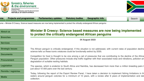Screenshot of Minister Creecy's announcement