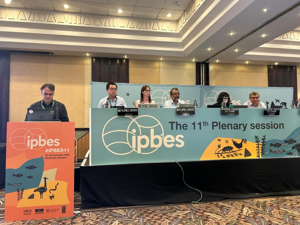 ipbes11-panel-discussion.jpeg